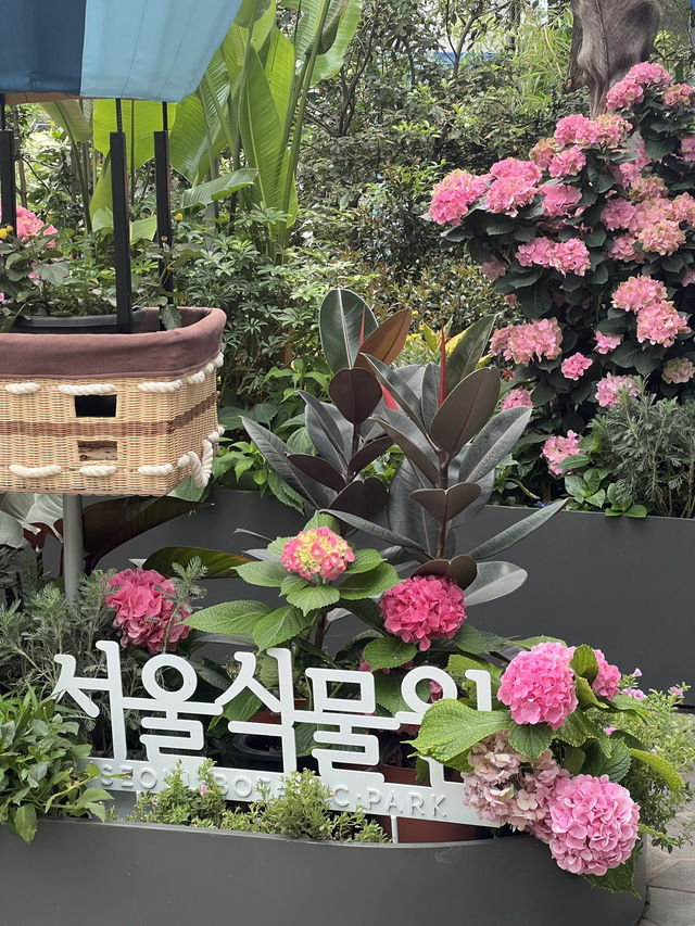 Seoul botanic สำหรับคนรักธรรมชาติ