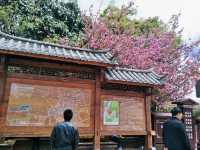 Blooming Beauties and Handcrafted Wonders: A Walk Through Lijiang