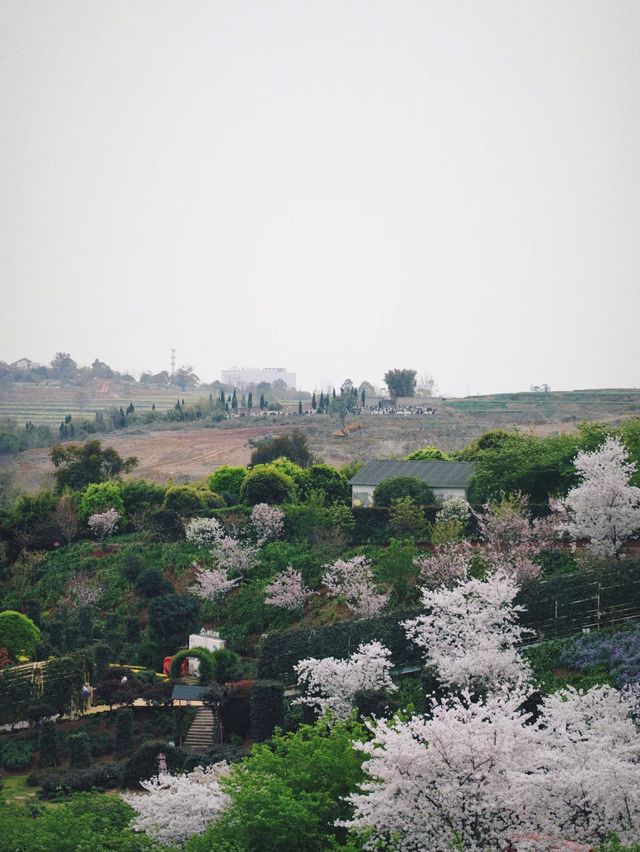 成都漫花莊園 能否滿足你對美的所有幻想？