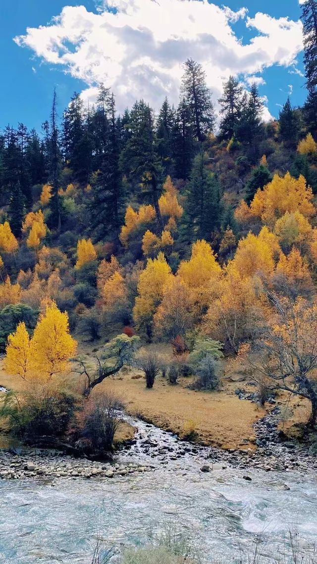 秋天第一次旅行，一定要留给川西，因为实在太，，，