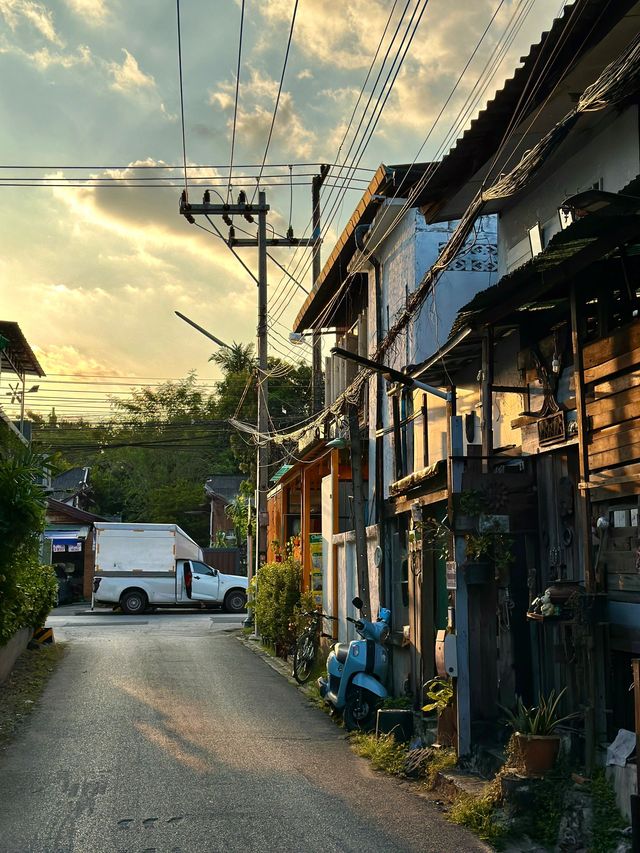 泰國清邁秋遊 美到驚艷的旅行目的地。