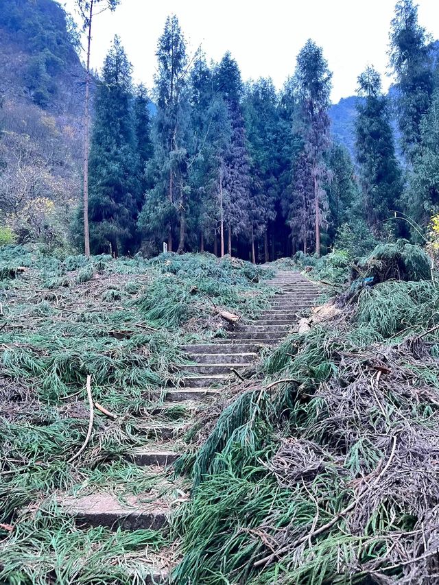 九峰山｜探索神秘山脈的自然奇觀與傳說