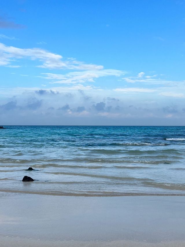 一定要去韓國濟州寶藏海島真的不要太美