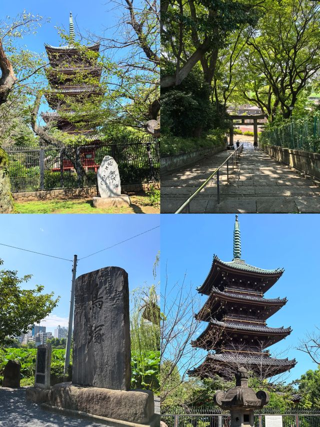 大家認為上野公園風景漂亮嗎？