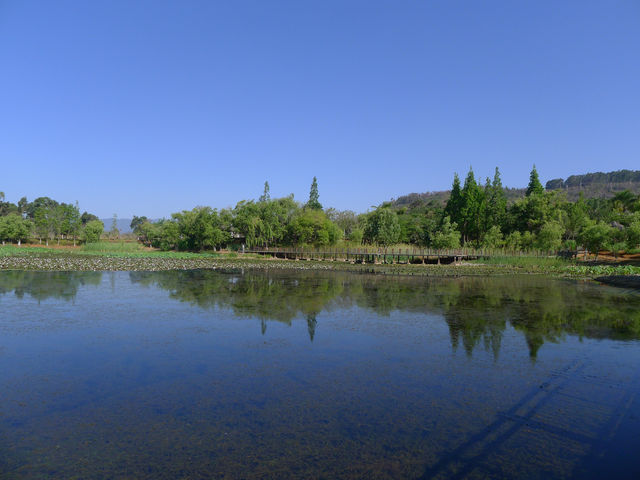 撫仙湖·月亮灣濕地公園——在雲南「看海」