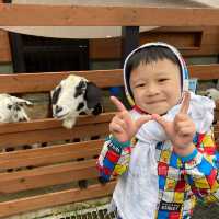 伊豆仙人掌動物園🌵