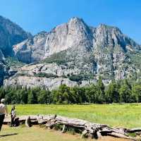 Nature’s Majestic Canvas Unfolds at Yosemite – Where Every Trail Leads to Wonder!