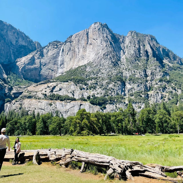 Nature’s Majestic Canvas Unfolds at Yosemite – Where Every Trail Leads to Wonder!