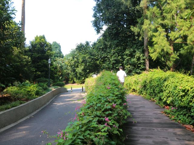 A sunny day walk at Botanic Gardens