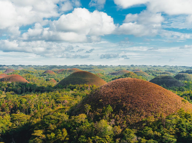 The Chocolate Hills: remarkable geological formation and iconic hills in the island of Bohol. 