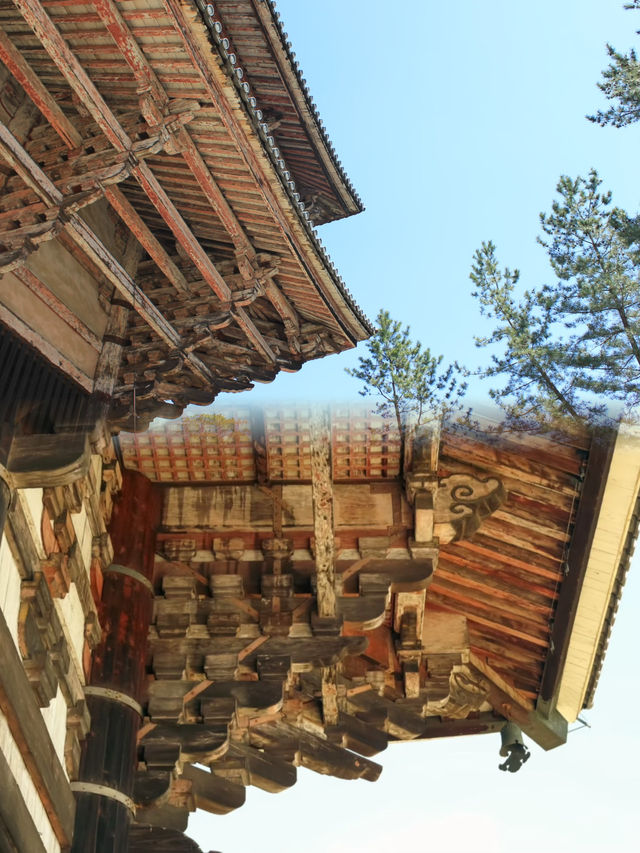 Tōdai-ji: Home of the Great Buddha and Timeless Grandeur