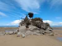 A Tranquil Adventure in Abel Tasman National Park