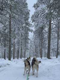 Arctic circle Santa Claus 