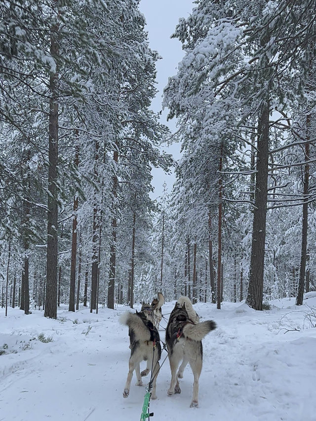 Arctic circle Santa Claus 