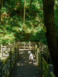 南寧良鳳江森林公園｜可乘公交進山徒步撿秋去！