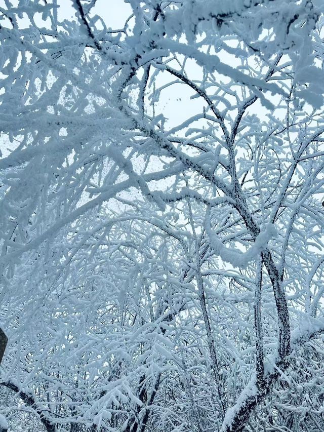 銀裝素裹的西嶺雪山，已美到 next level！