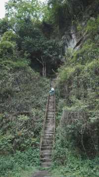 成都1.5小時｜一條較為野性的徒步登山路線。