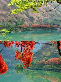 探索神秘天堂——四川二灘國家公園之旅