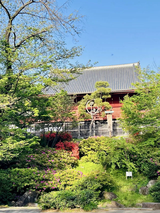 穿越四季的畫布：上野公園與東京的兩日行