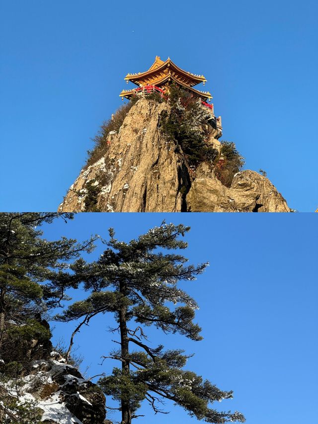 冬日雪後的老君山，遠赴一場人間驚鴻宴