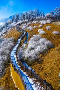 四川旅行｜美爆了的西嶺雪山，從早嗨到晚！