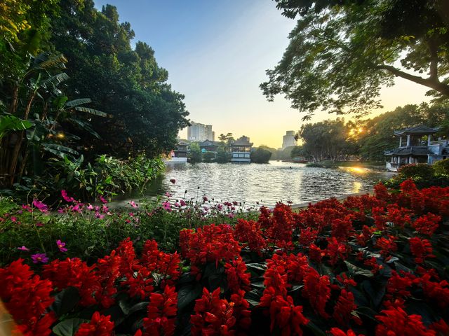 荔灣湖公園的繡球花開了