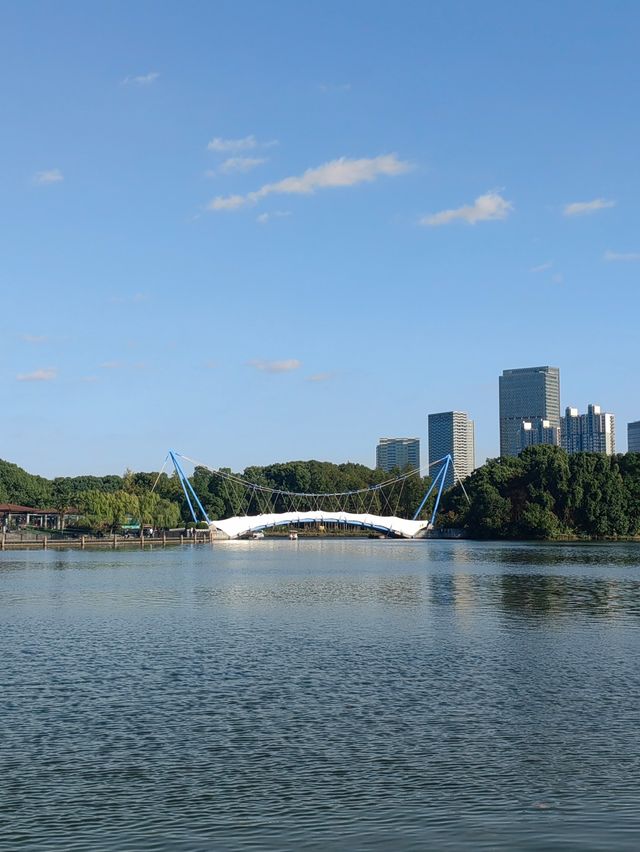 初秋的上海世紀公園