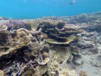 Pulau Tioman Salang Beach