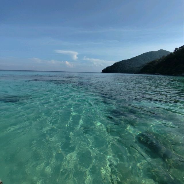 Underwater Wonders and Culinary Delights: My Adventure in Redang Island, Terengganu Malaysia.