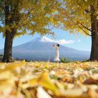 富士宮市の白糸自然公園