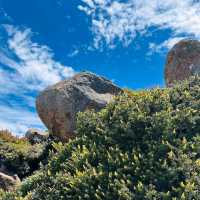 Mount Wellington (Kunanyi), Hobart