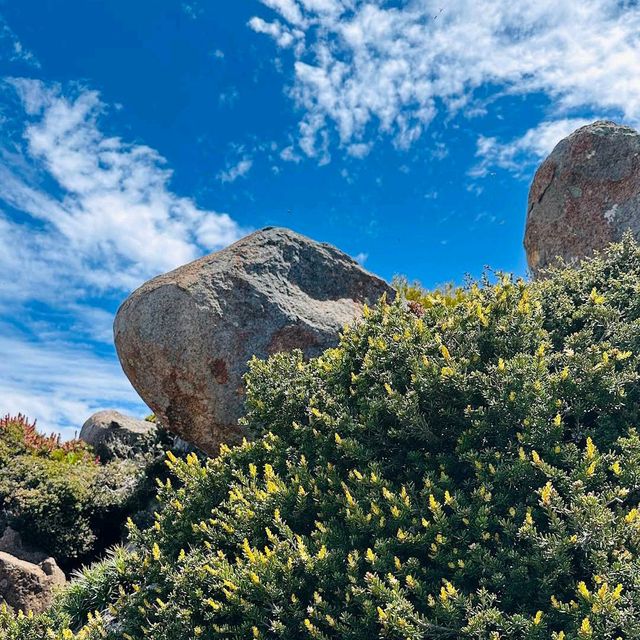 Mount Wellington (Kunanyi), Hobart