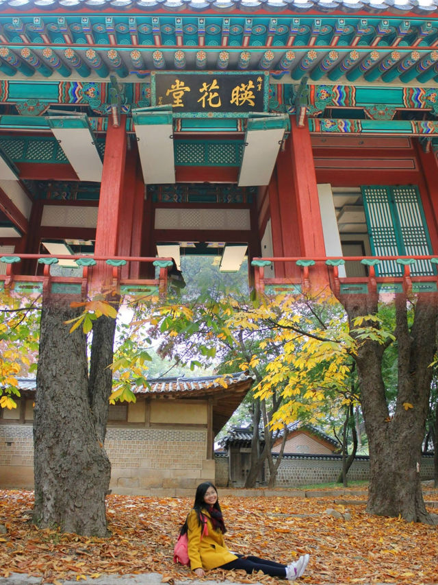 Autumn Serenity: Exploring the Secret Garden of Changdeokgung