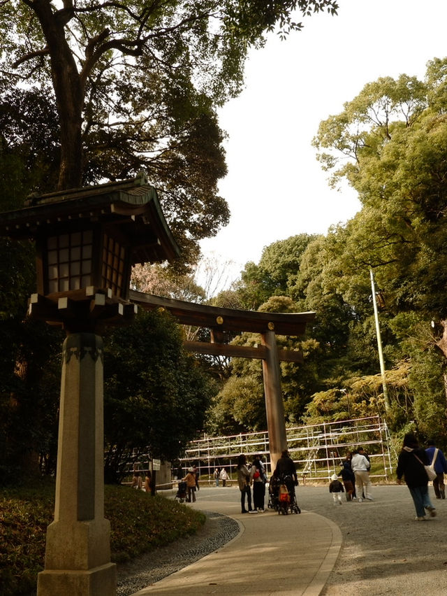 🇯🇵 Shibuya : Meiji Shrine 