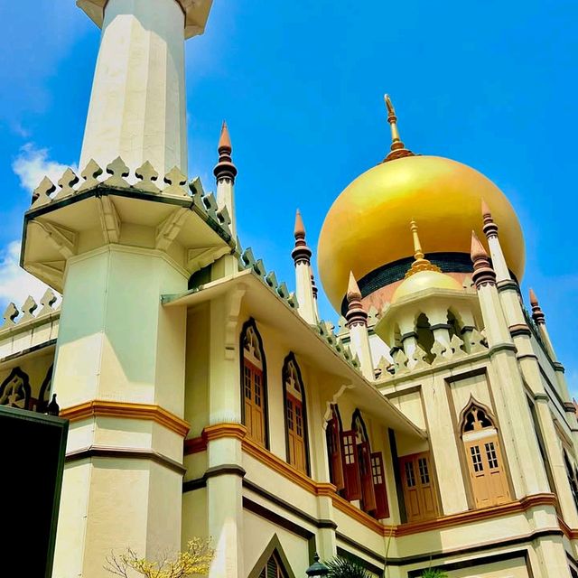 Vibrant Cultural Experience in Little India, Singapore