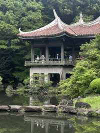 Escape to Serenity at Shinjuku Gyoen National Garden