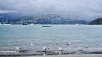 New Zealand's French town - Akaroa.