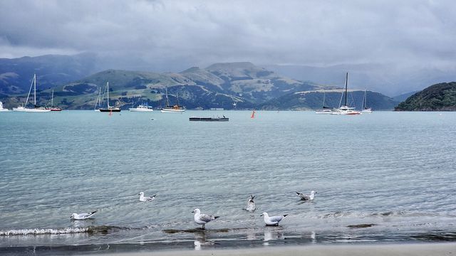 New Zealand's French town - Akaroa.