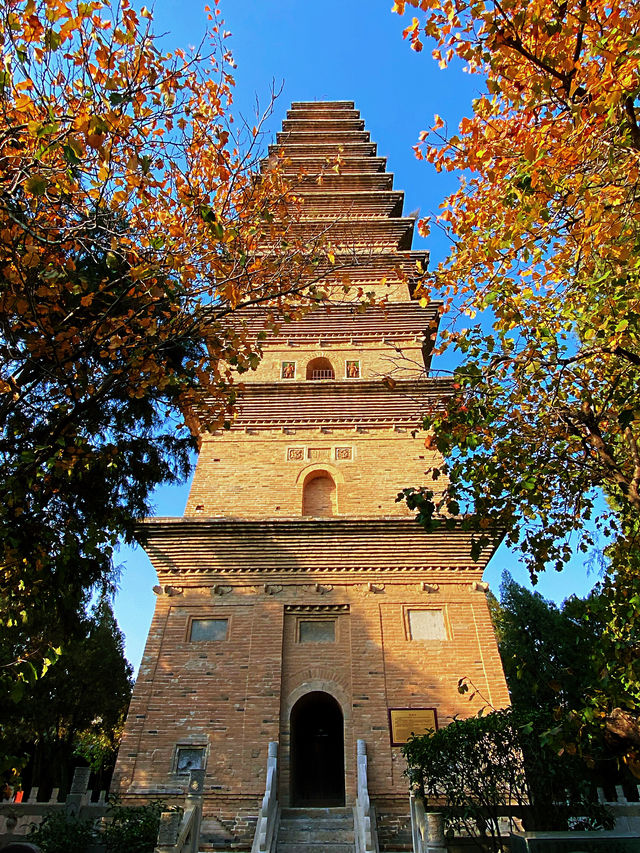 天下寺院不談情，唯有山西普救寺