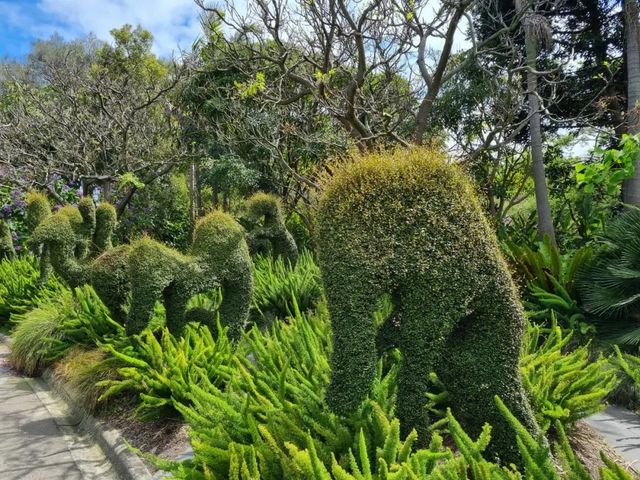 墨爾本皇家植物園