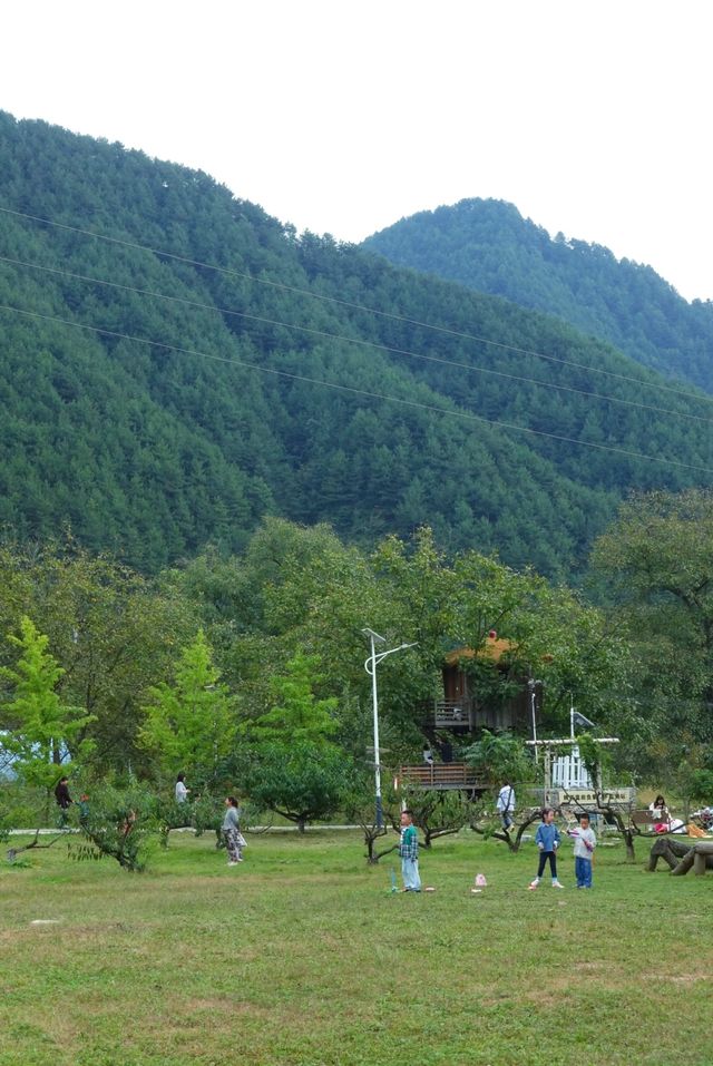 西安灞源｜胡桃樹下鄉村民宿。