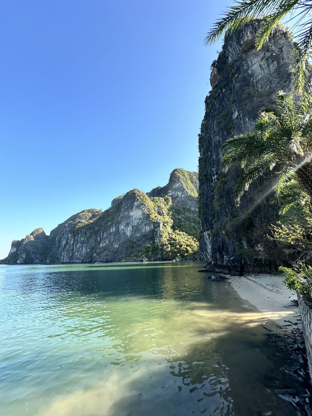 Discovering Halong Bay: A Natural Wonder in Vietnam