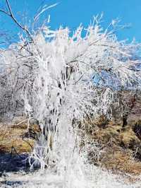 石卡雪山，香格里拉裡的冰雪奇緣