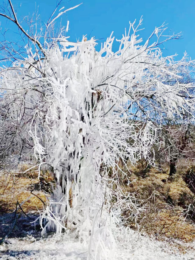 石卡雪山，香格里拉裡的冰雪奇緣