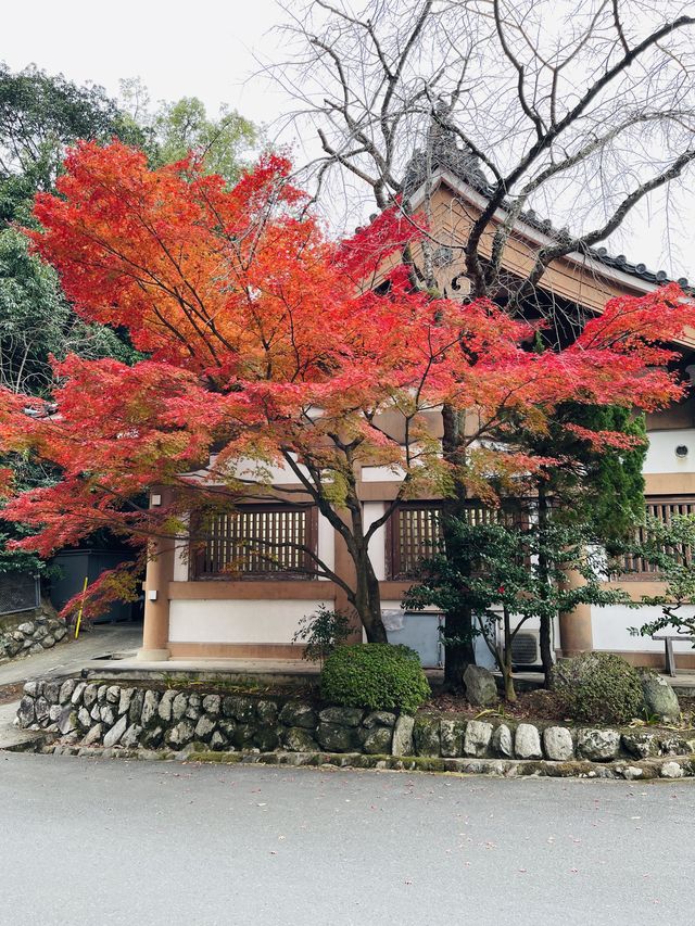 日本·京都