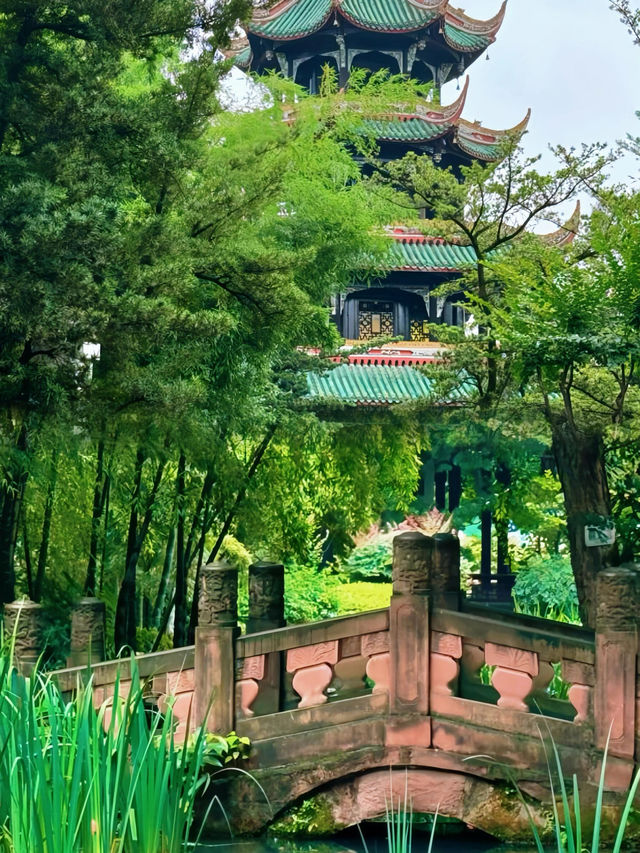 走進望江樓公園，感受成都的慢生活