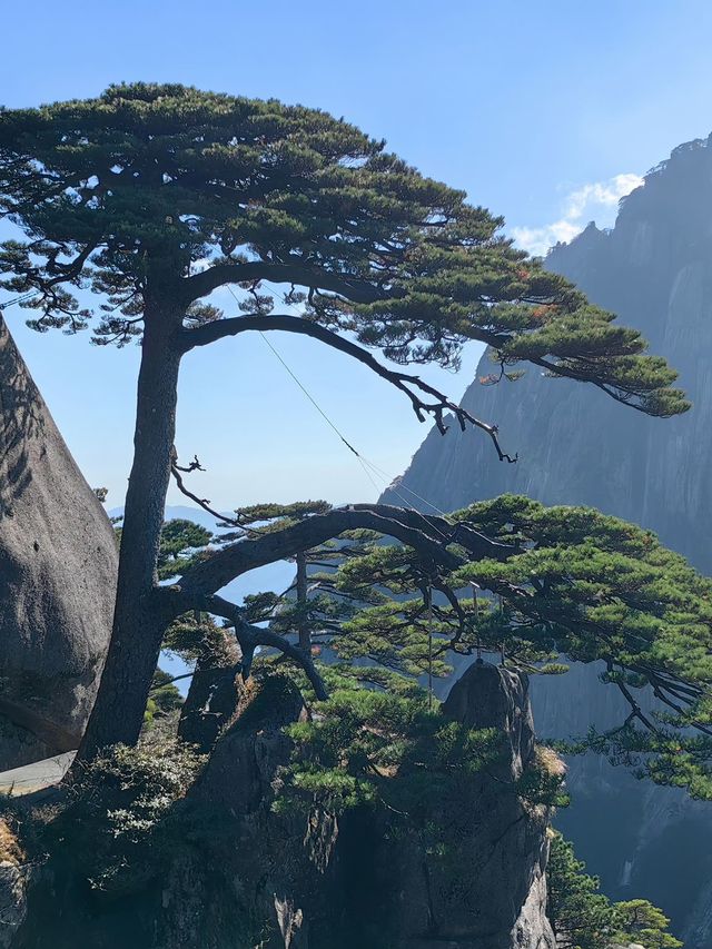 黃山元旦遊 美景不容錯過