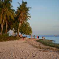 Bohol: Nature’s Paradise in the Philippines