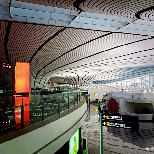 Beijing DaXing Airport: Concept of Art and Functionality