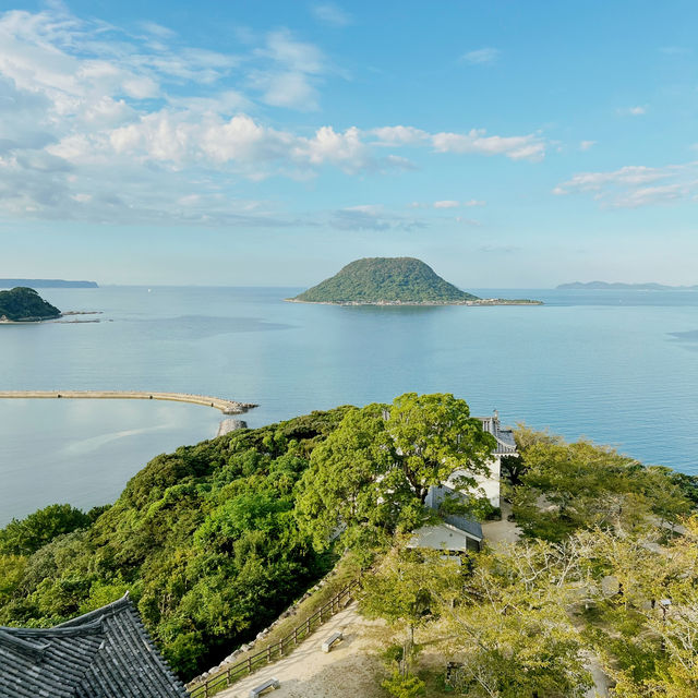 被海洋環抱的絕美名城 #佐賀唐津城 ⛰️🌊